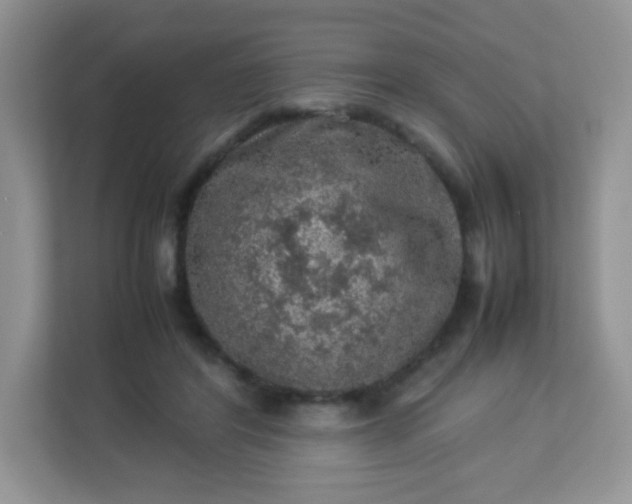 X0000113310404200909281128