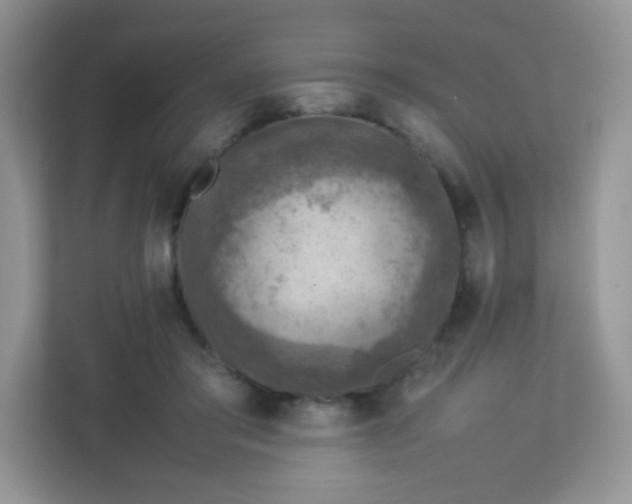 X0000113310405200909281128