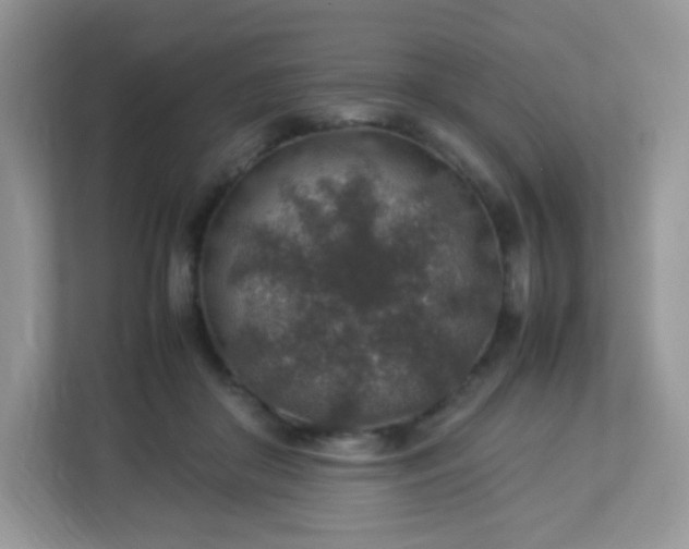 X0000113310410200909281128