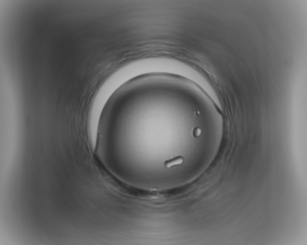 X0000113310411200909281128