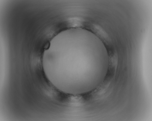 X0000113310415200909281128