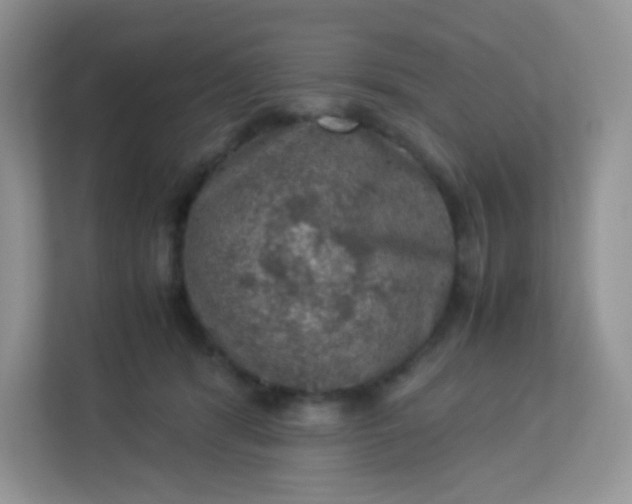 X0000113310416200909281128