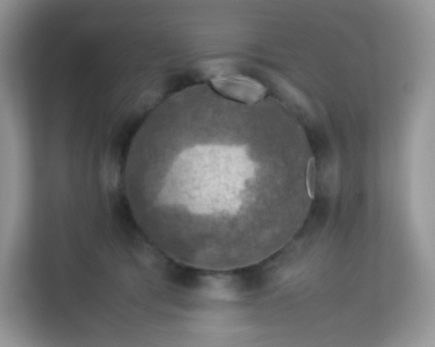 X0000113310417200909281128