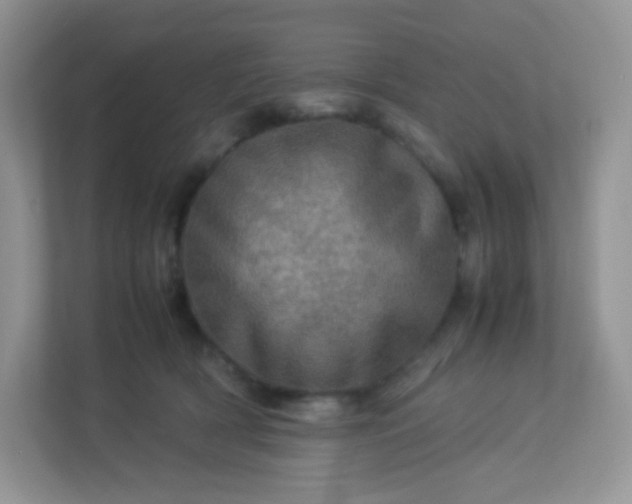 X0000113310418200909281128