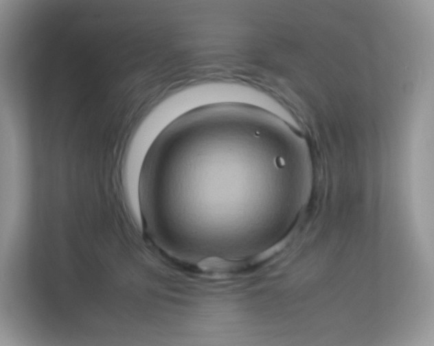 X0000113310419200909281128