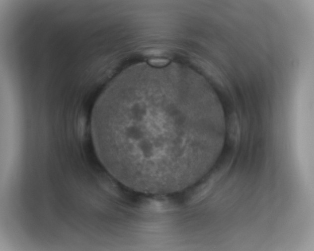 X0000113310420200909281128