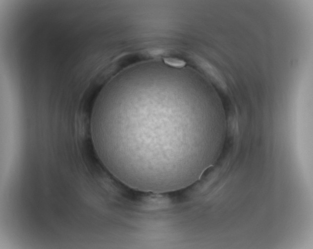 X0000113310421200909281128