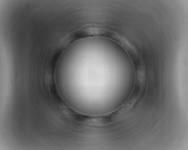 X0000113310422200909281128