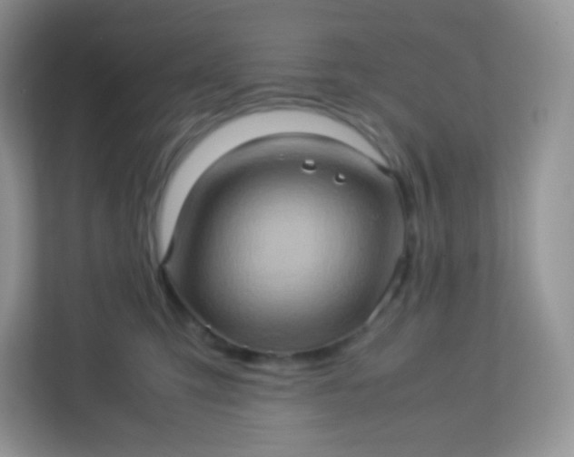 X0000113310423200909281128