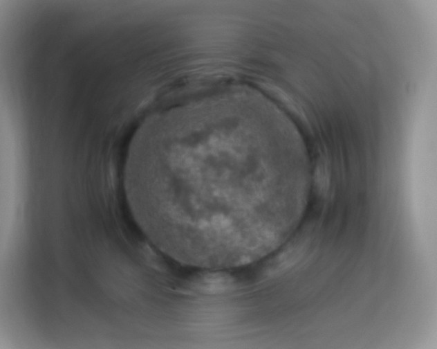 X0000113310424200909281128