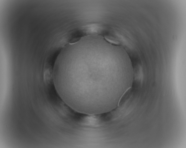 X0000113310425200909281128