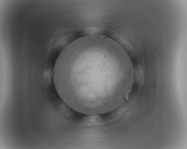 X0000113310427200909281128