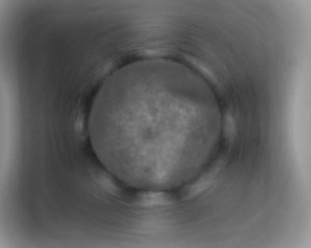 X0000113310428200909281128