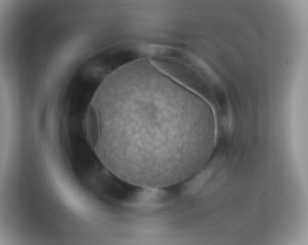 X0000113310429200909281128