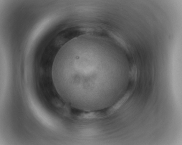 X0000113310430200909281128