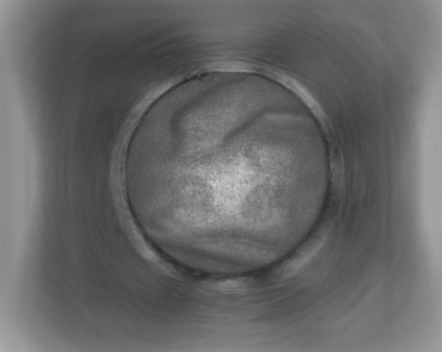 X0000113310433200909281127