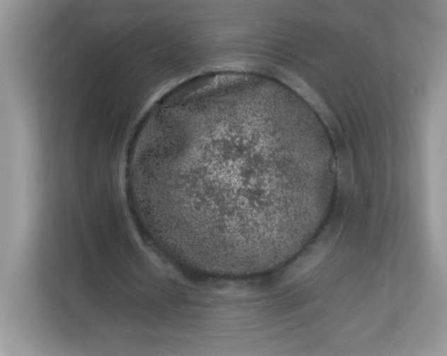 X0000113310434200909281127