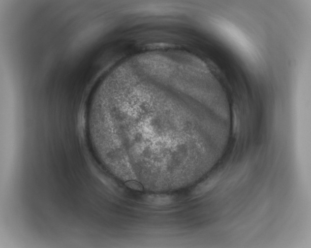 X0000113310435200909281127