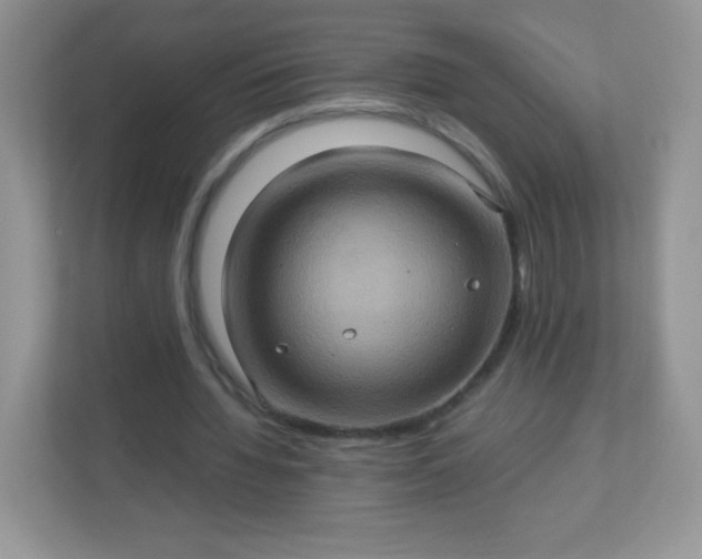 X0000113310436200909281127