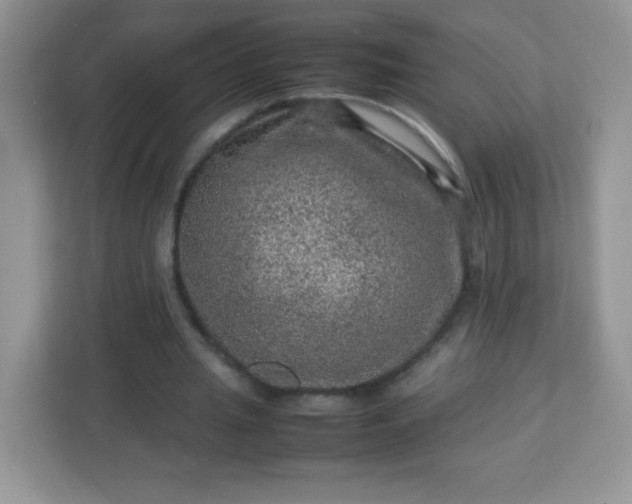 X0000113310437200909281127