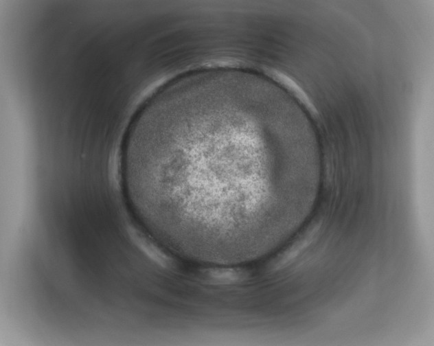 X0000113310439200909281128