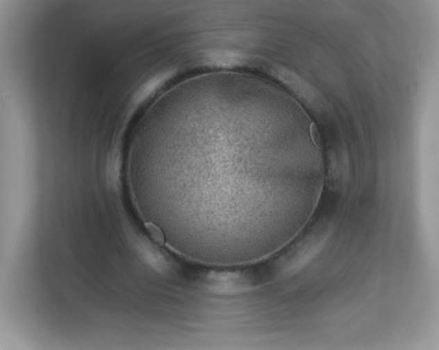 X0000113310440200909281128