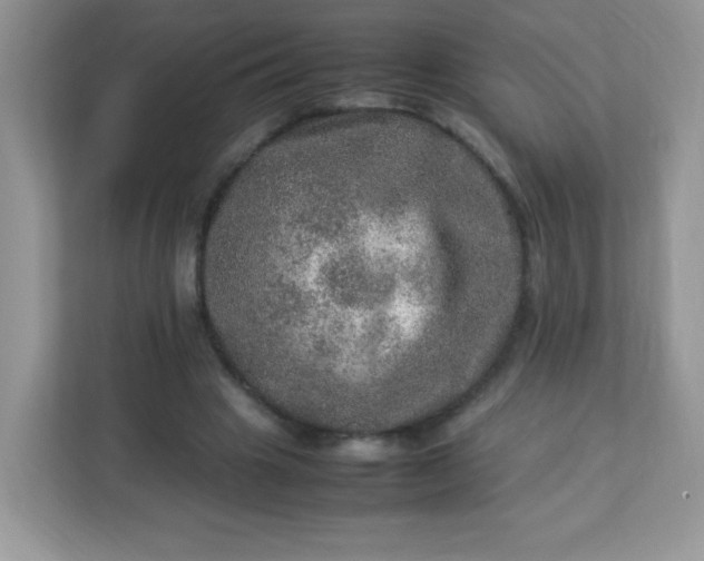 X0000113310441200909281128