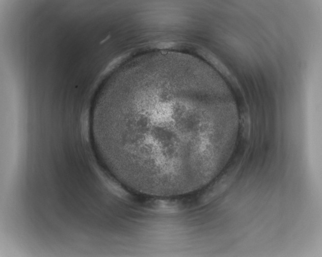 X0000113310442200909281128