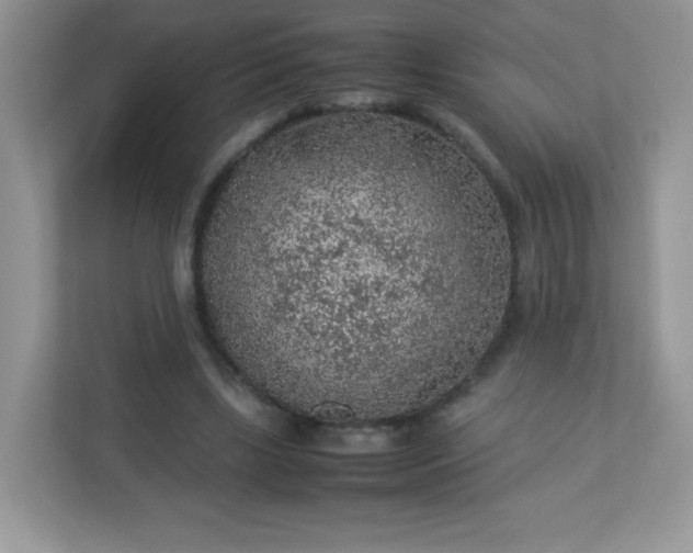 X0000113310443200909281128