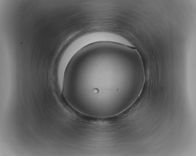 X0000113310444200909281128