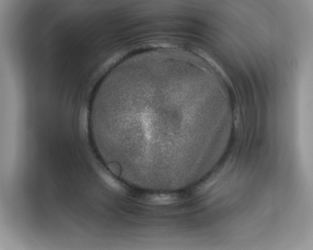 X0000113310445200909281128