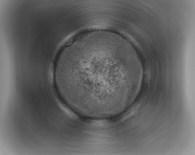 X0000113310446200909281128