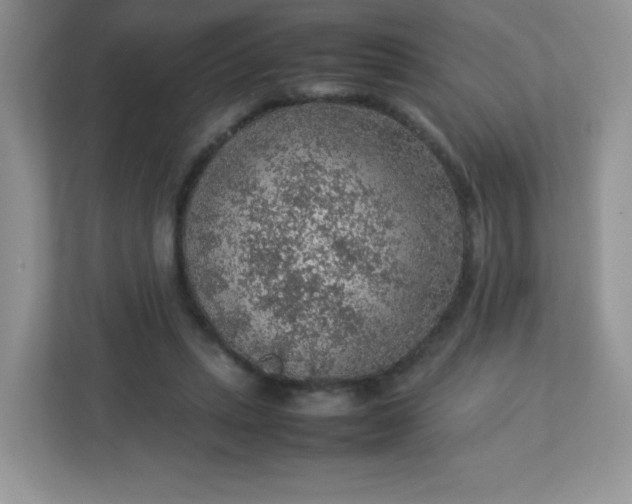 X0000113310447200909281128