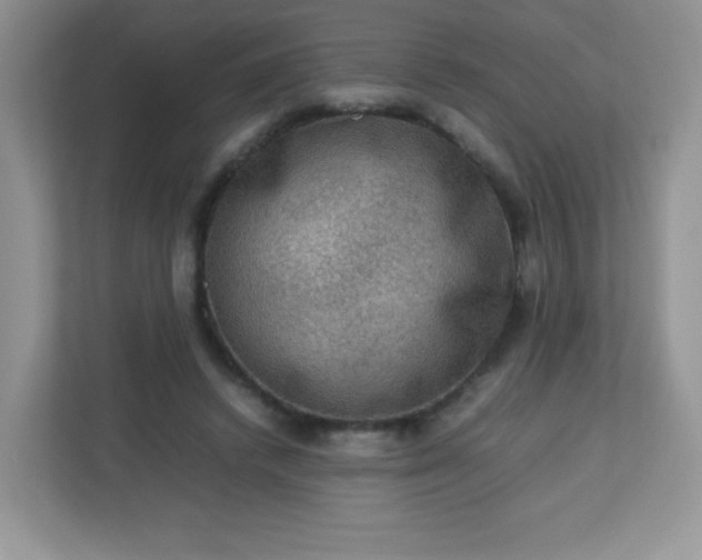 X0000113310448200909281128