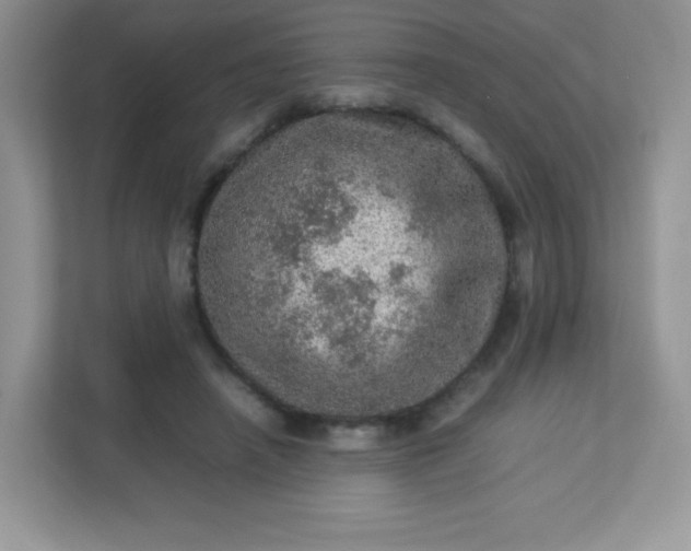 X0000113310450200909281128