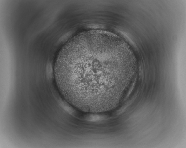 X0000113310453200909281128