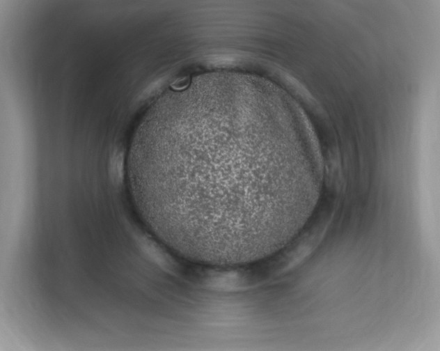 X0000113310454200909281128