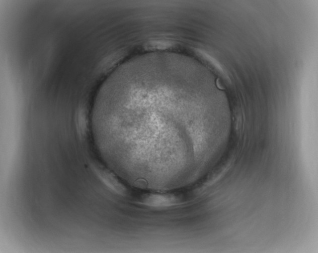 X0000113310455200909281128