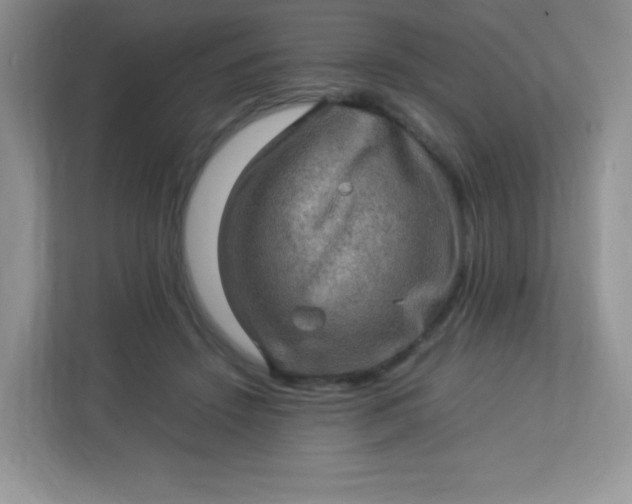 X0000113310456200909281128