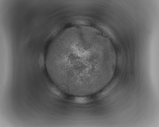 X0000113310457200909281128