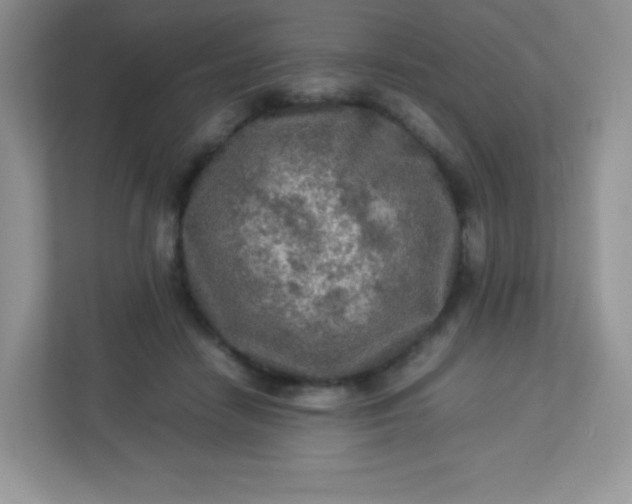 X0000113310458200909281128