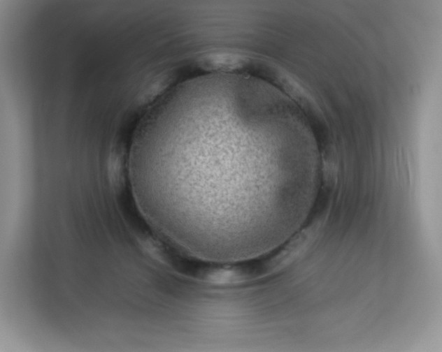 X0000113310460200909281128