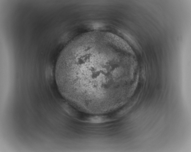 X0000113310461200909281128