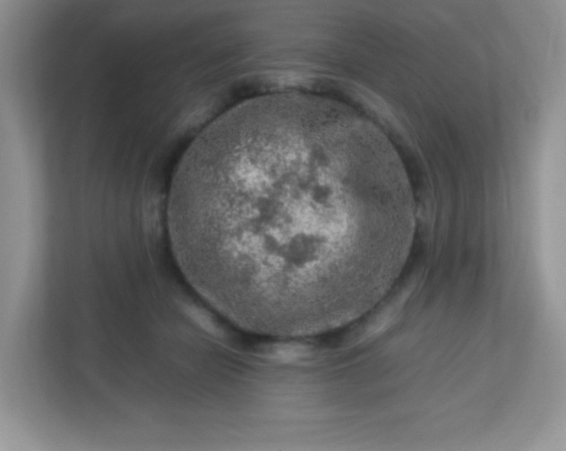 X0000113310462200909281128