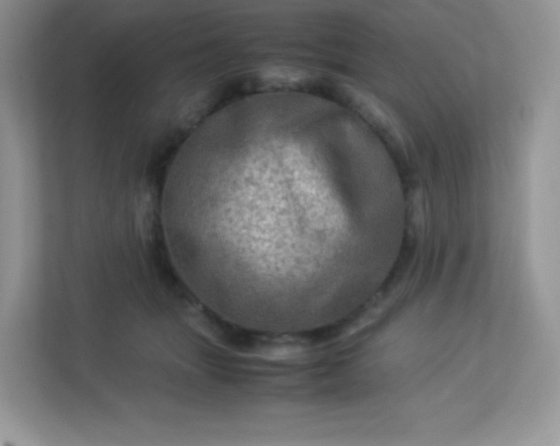 X0000113310463200909281128