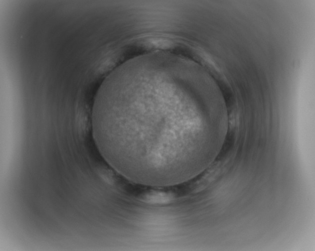 X0000113310464200909281128