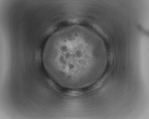 X0000113310466200909281128