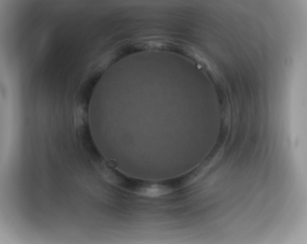 X0000113310467200909281128