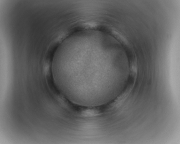 X0000113310468200909281128