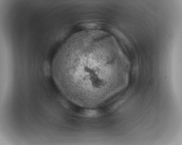 X0000113310469200909281128